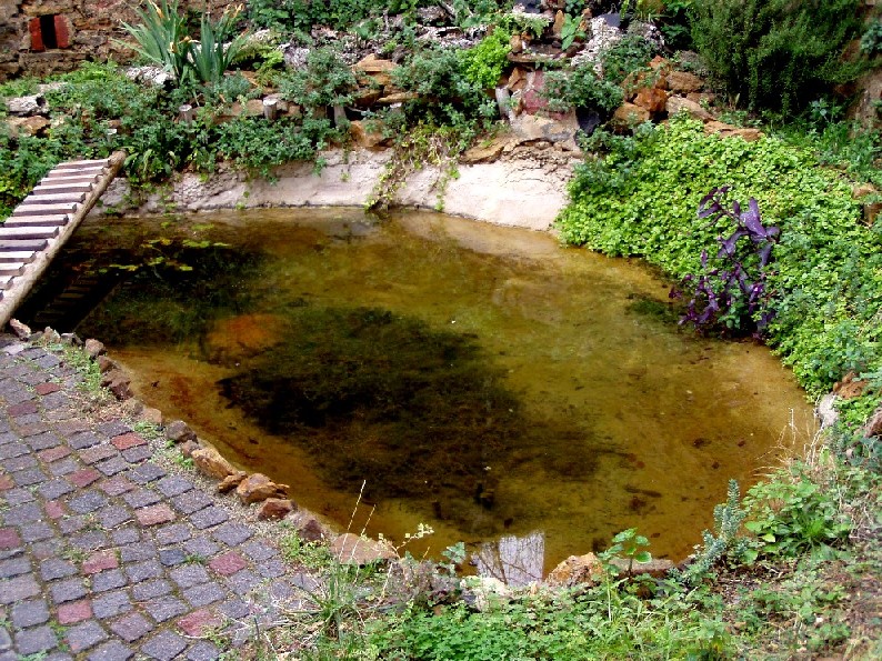 Il Laghetto del Centro di Entomologia - Piombino (LI)